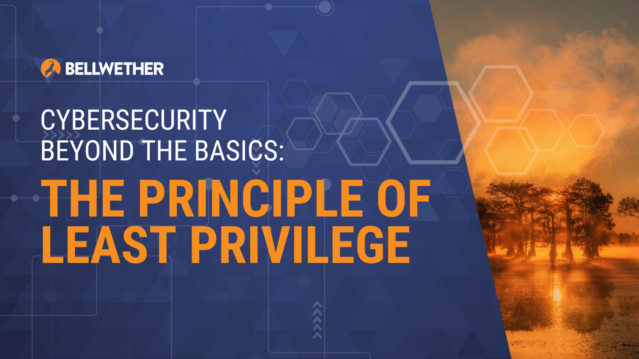 cybersecurity-beyond-the-basics-the-principle-of-least-privilege