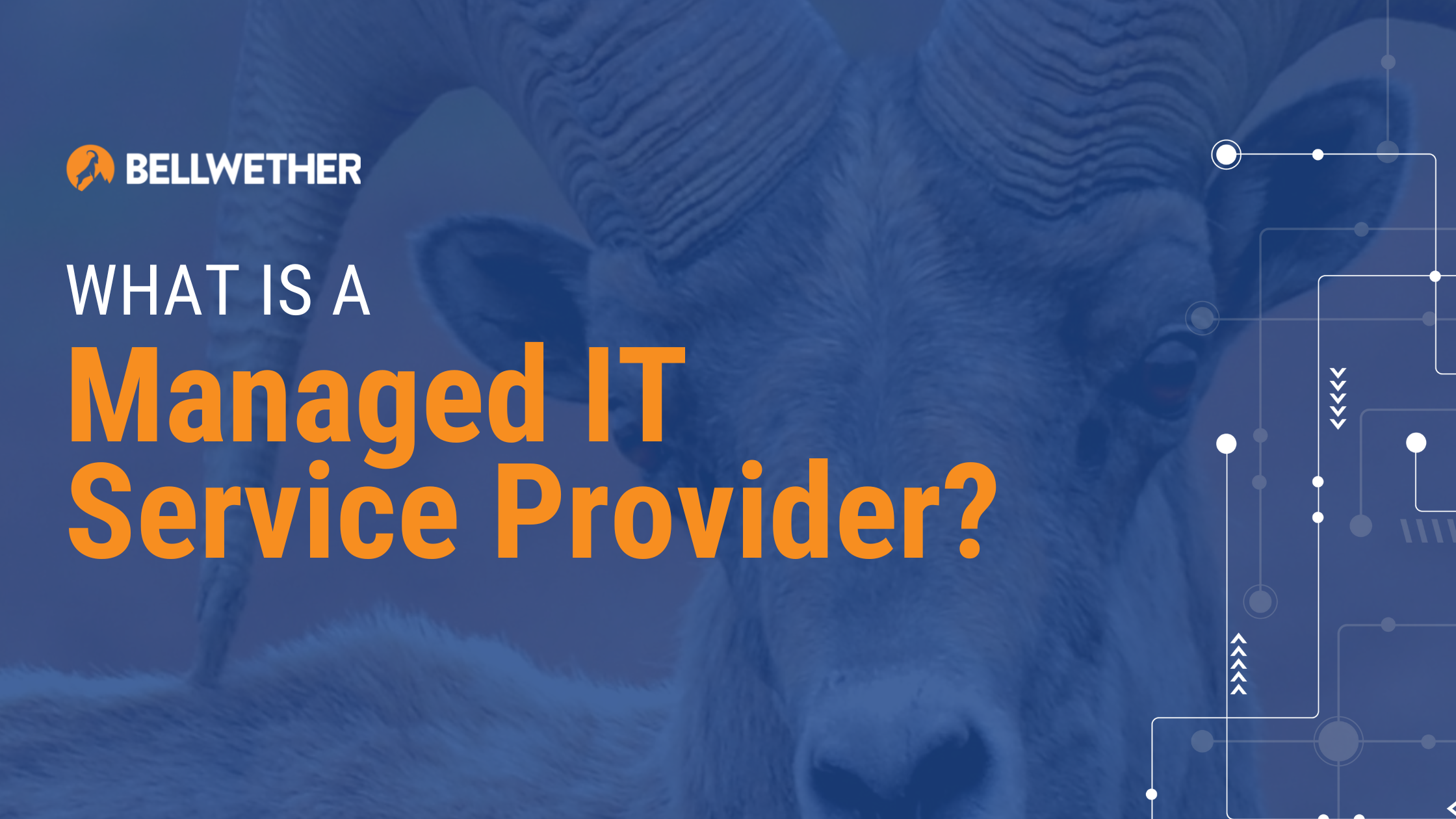 What Is A Managed IT Service Provider Bellwether Technology