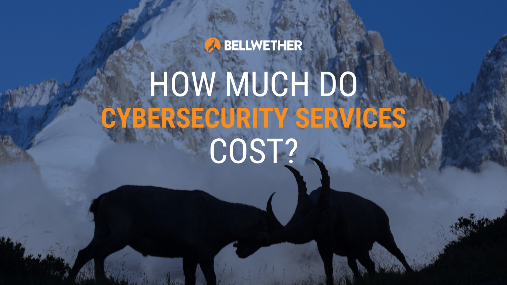 Cyber Security Tuition Cost