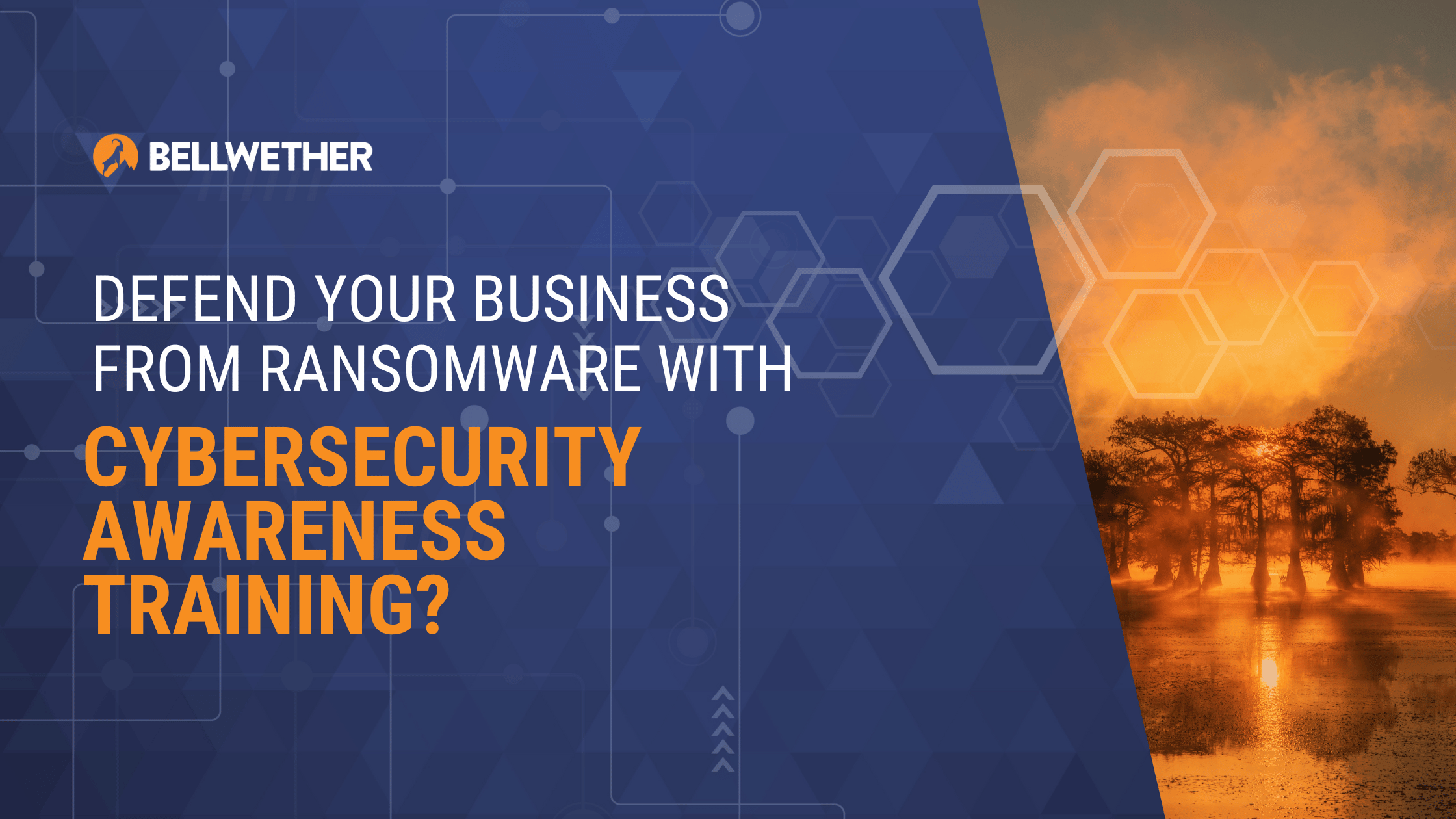 Defend Your Business from Ransomware with Cybersecurity Awareness Training