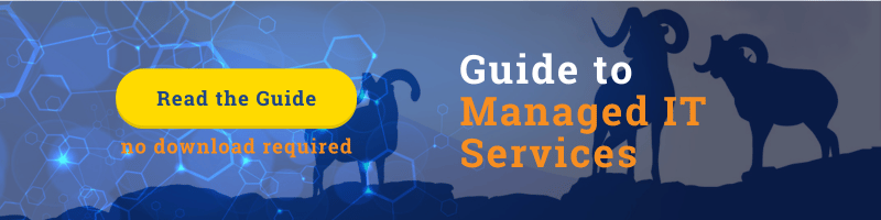 Read the guide to managed IT services