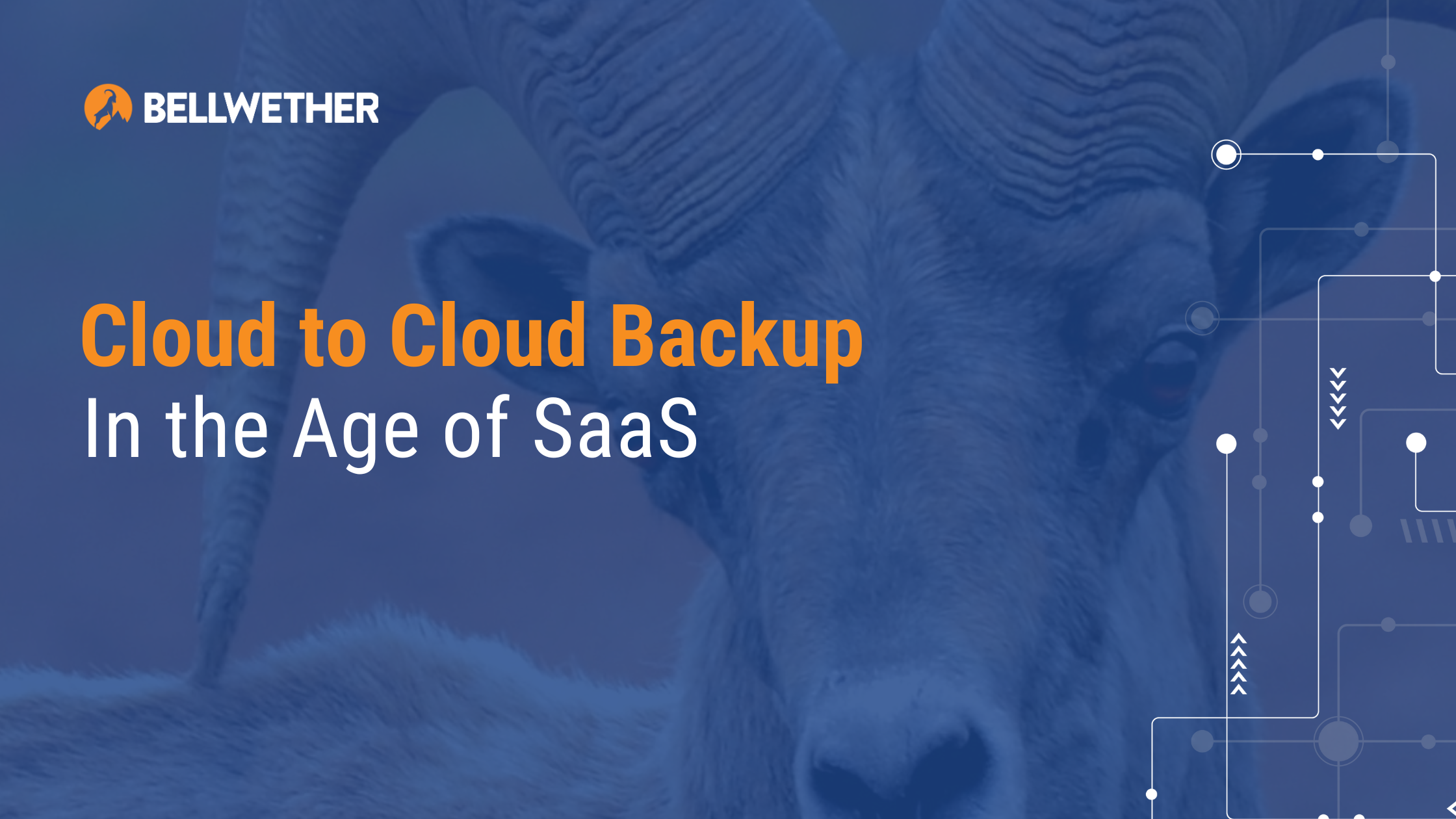 Cloud to cloud backup in the age of SaaS