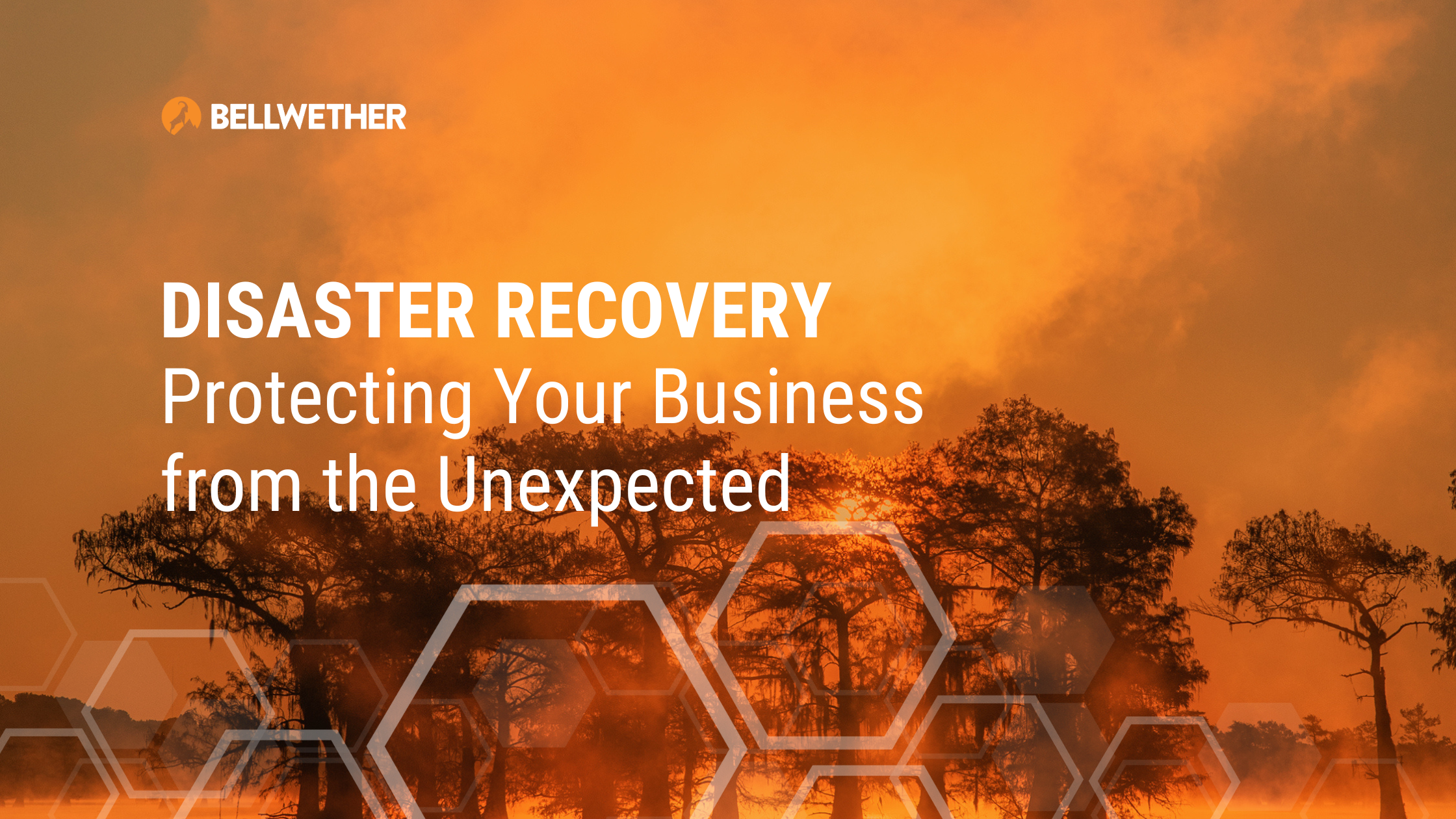 Disaster Recovery: Protecting Your Business from the Unexpected