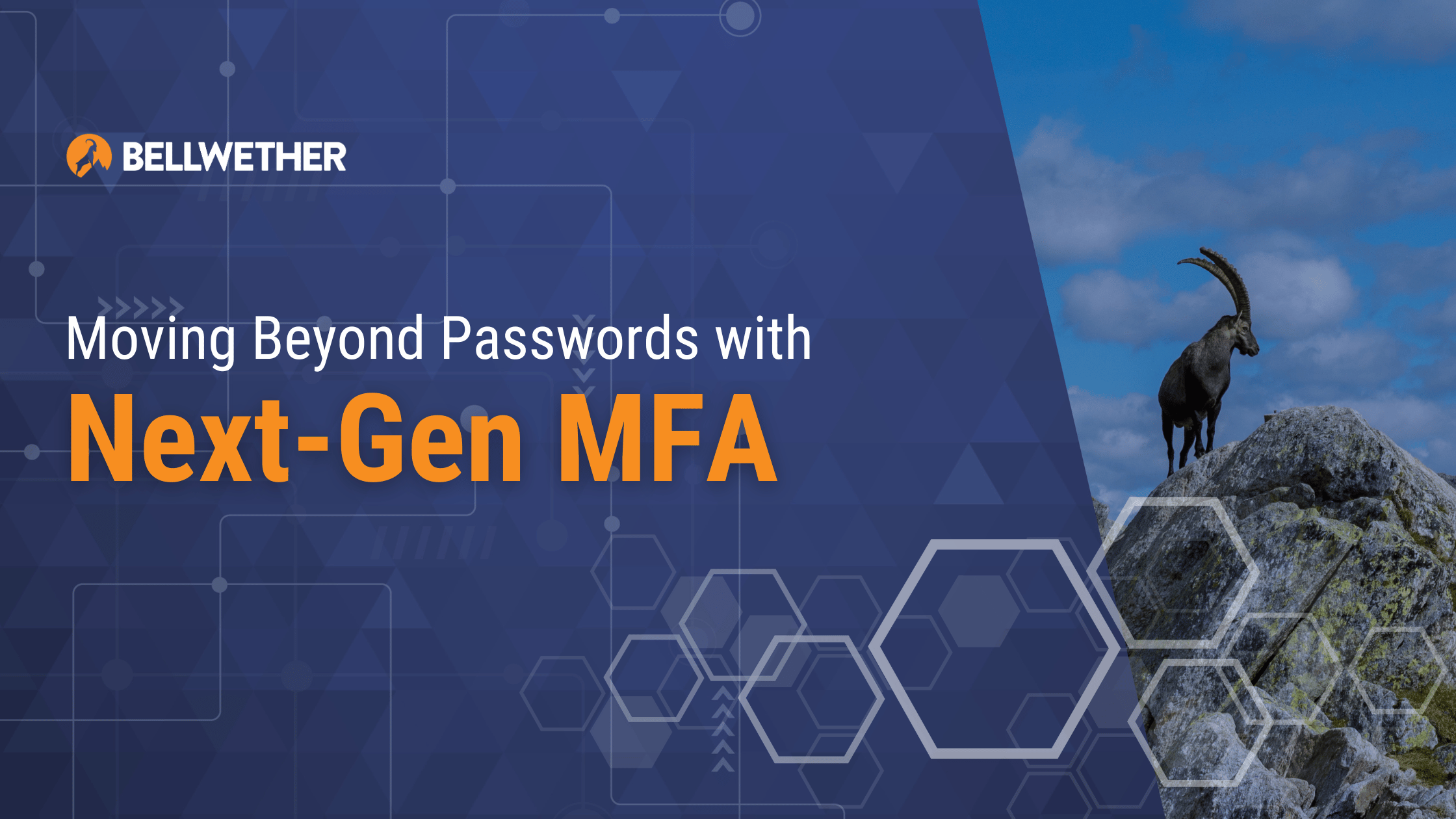 Moving Beyond Passwords with Next-Gen MFA