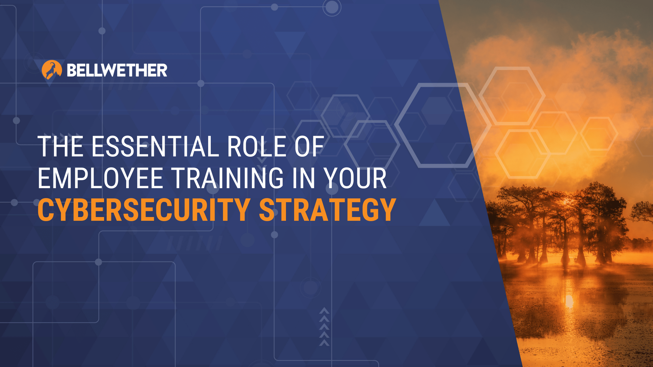 The Essential Role of Employee Training in Your Cybersecurity Strategy